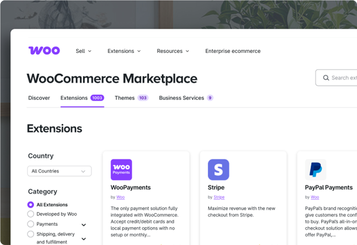 woocommerce development